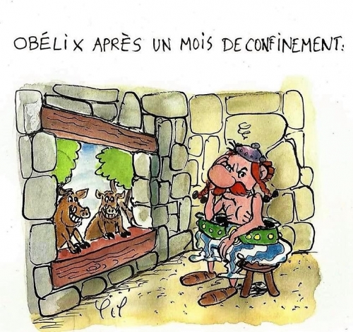 Obélix.jpg