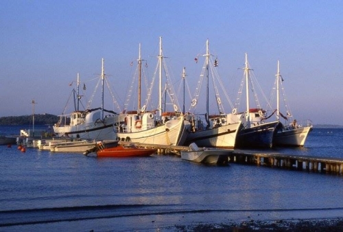 Caïques Ponton3.jpg