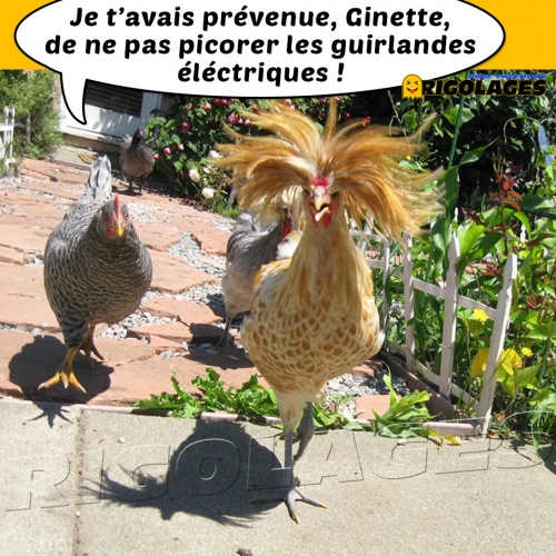 Ginette.jpg