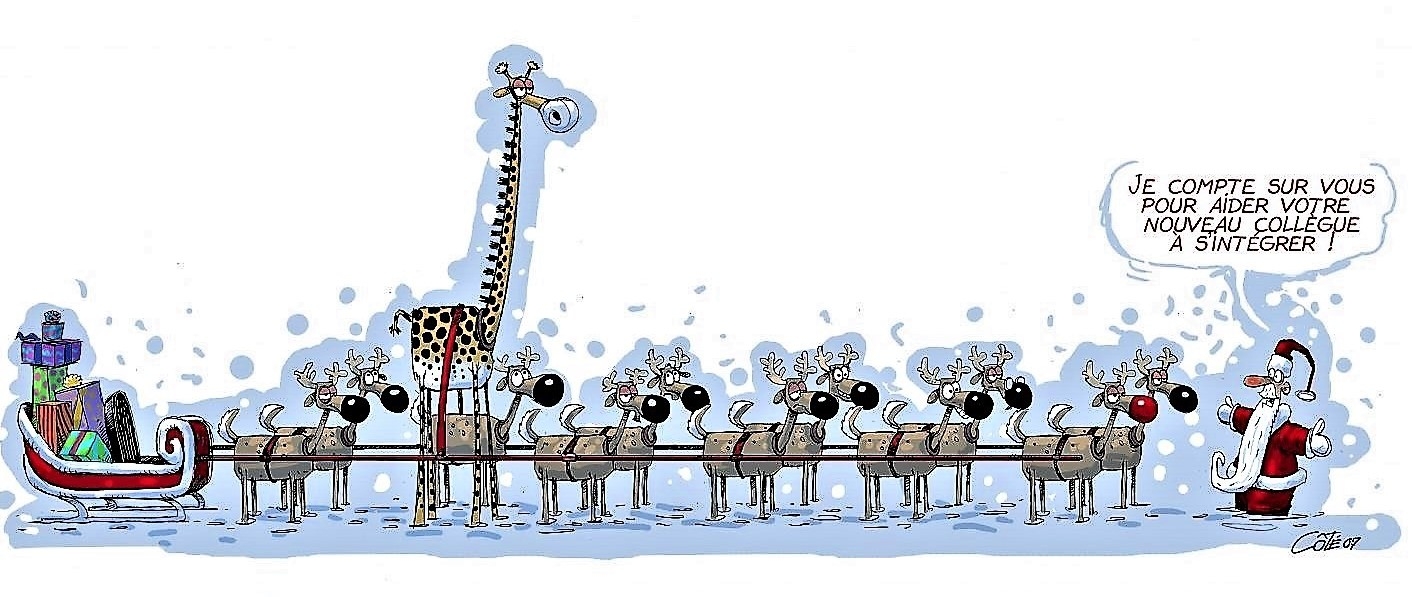 Noël Girafe.jpg