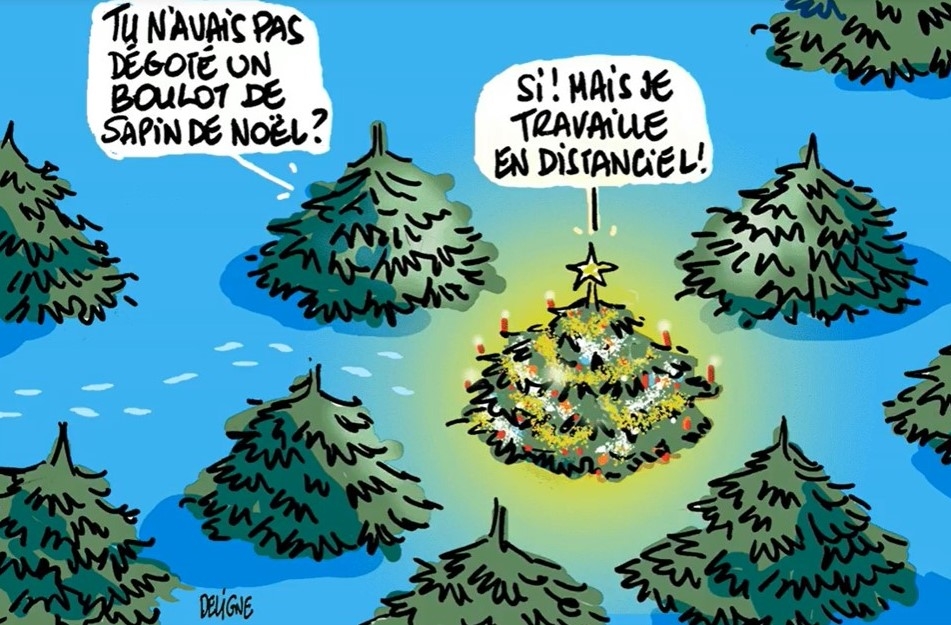 Sapin de noel.jpg