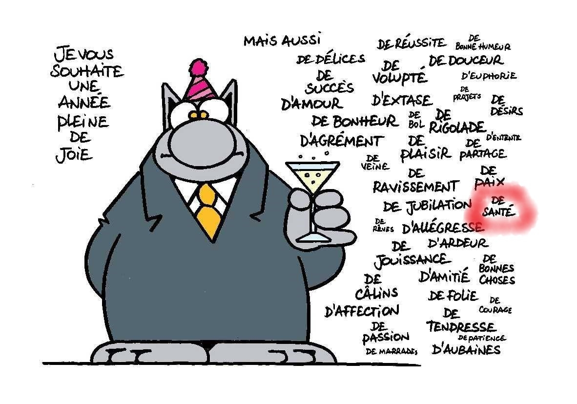 Bonne Année le Chat.jpg