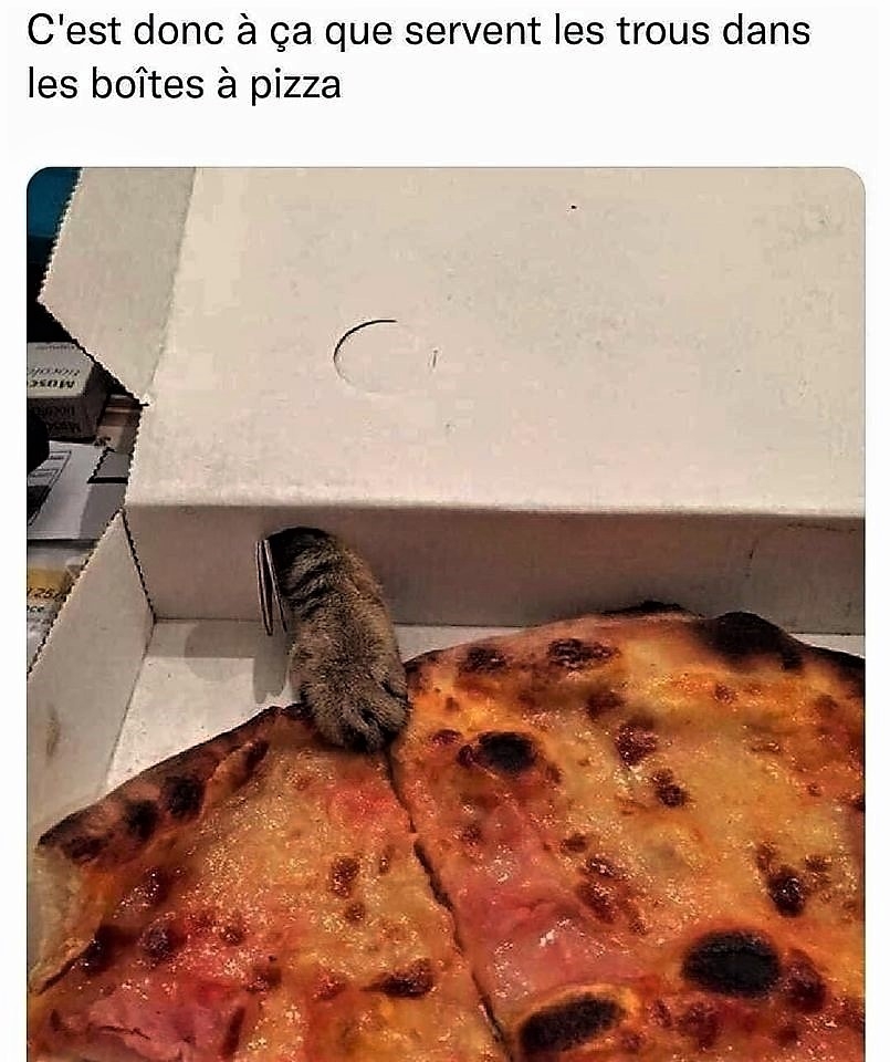 Chat Pizza.jpg