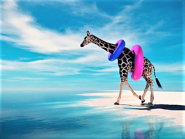 Girafe.jpg