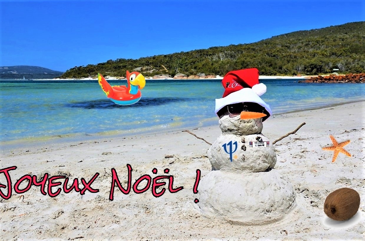 Joyeux Noël Tropical.jpg