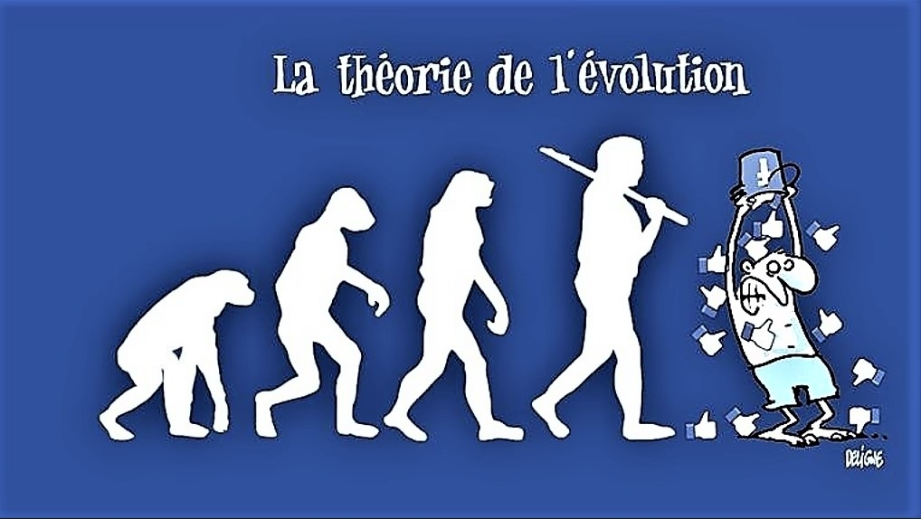 Théorie de l'Evolution.jpg