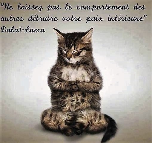 chat-zen.jpg