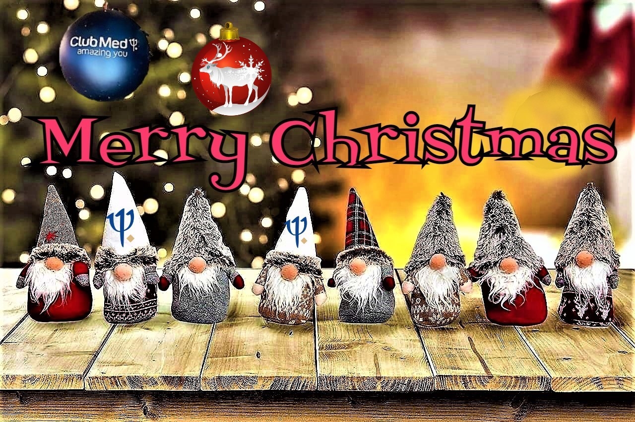 Merry Christmas Gnomes.jpg